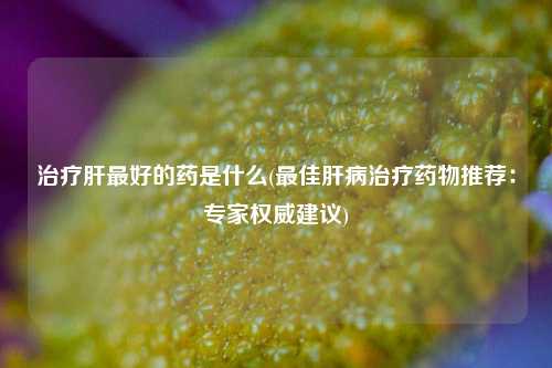 治疗肝最好的药是什么(最佳肝病治疗药物推荐：专家权威建议)