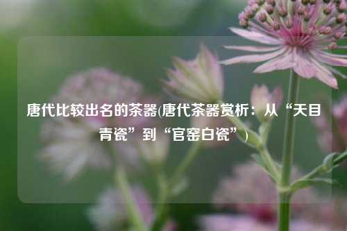 唐代比较出名的茶器(唐代茶器赏析：从“天目青瓷”到“官窑白瓷”)