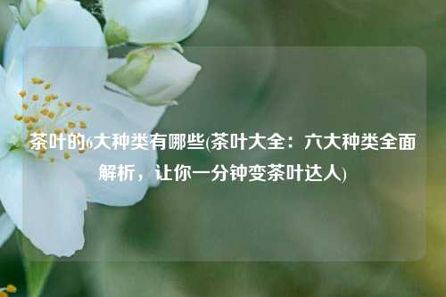 茶叶的6大种类有哪些(茶叶大全：六大种类全面解析，让你一分钟变茶叶达人)