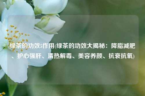 绿茶的功效5作用(绿茶的功效大揭秘：降脂减肥、护心强肝、清热解毒、美容养颜、抗衰抗氧)