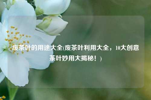 废茶叶的用途大全(废茶叶利用大全，10大创意茶叶妙用大揭秘！)