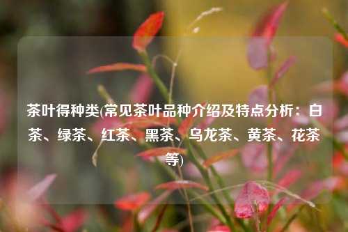 茶叶得种类(常见茶叶品种介绍及特点分析：白茶、绿茶、红茶、黑茶、乌龙茶、黄茶、花茶等)