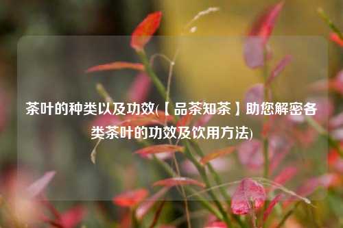 茶叶的种类以及功效(【品茶知茶】助您解密各类茶叶的功效及饮用方法)