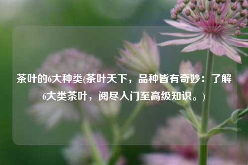 茶叶的6大种类(茶叶天下，品种皆有奇妙：了解6大类茶叶，阅尽入门至高级知识。)