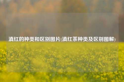 滇红的种类和区别图片(滇红茶种类及区别图解)