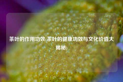 茶叶的作用功效(茶叶的健康功效与文化价值大揭秘)
