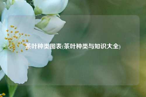 茶叶种类图表(茶叶种类与知识大全)