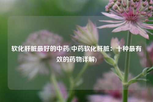 软化肝脏最好的中药(中药软化肝脏：十种最有效的药物详解)