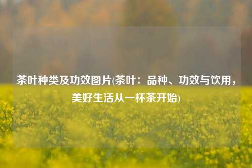 茶叶种类及功效图片(茶叶：品种、功效与饮用，美好生活从一杯茶开始)