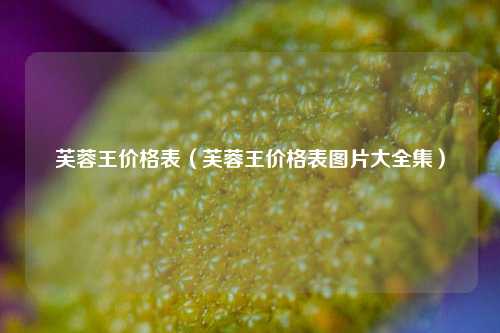 芙蓉王价格表（芙蓉王价格表图片大全集）