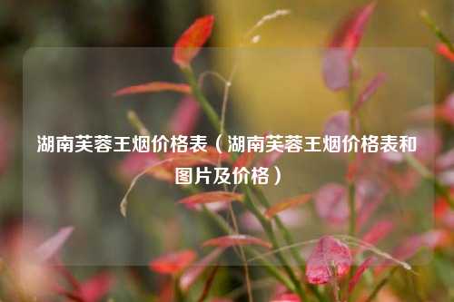 湖南芙蓉王烟价格表（湖南芙蓉王烟价格表和图片及价格）