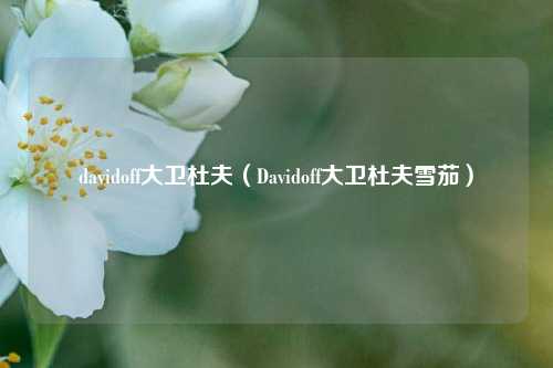 davidoff大卫杜夫（Davidoff大卫杜夫雪茄）