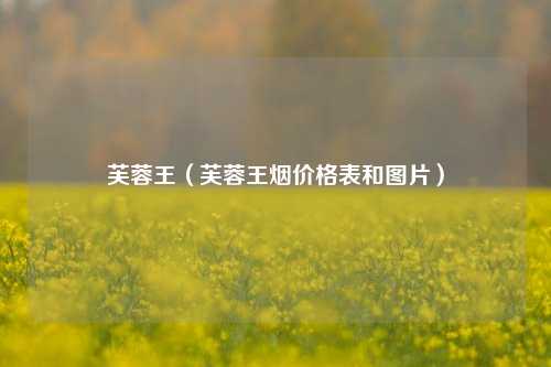 芙蓉王（芙蓉王烟价格表和图片）