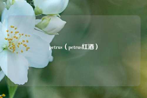 petrus（petrus红酒）