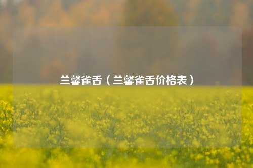 兰馨雀舌（兰馨雀舌价格表）