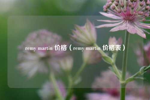 remy martin 价格（remy martin 价格表）