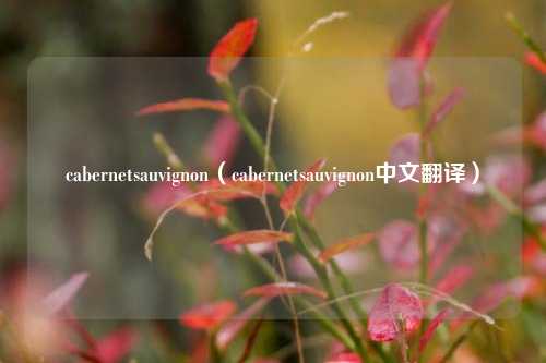 cabernetsauvignon（cabernetsauvignon中文翻译）