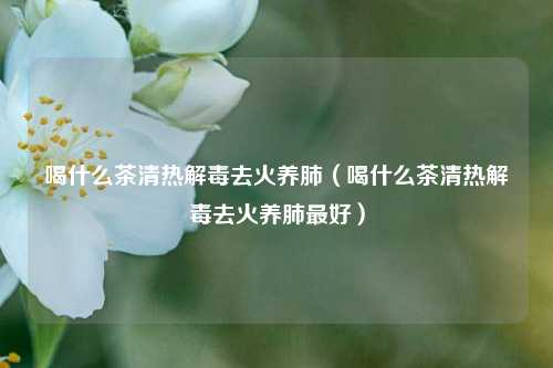 喝什么茶清热解毒去火养肺（喝什么茶清热解毒去火养肺最好）