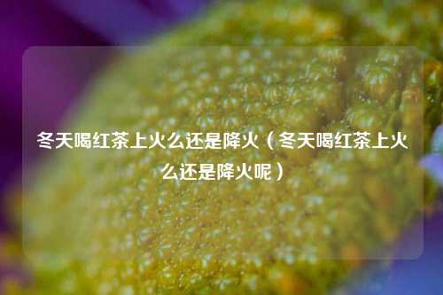 冬天喝红茶上火么还是降火（冬天喝红茶上火么还是降火呢）