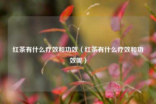 红茶有什么疗效和功效（红茶有什么疗效和功效呢）