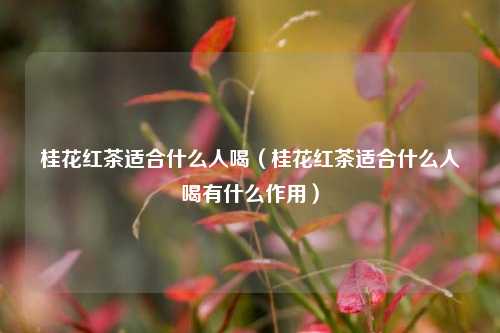 桂花红茶适合什么人喝（桂花红茶适合什么人喝有什么作用）