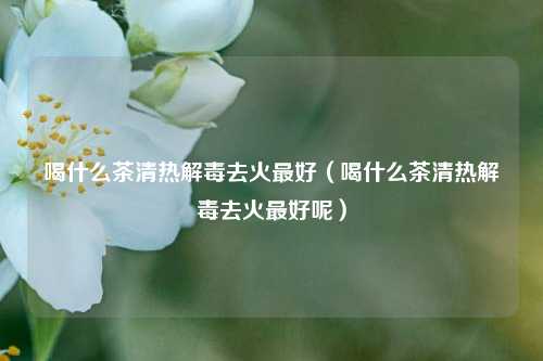 喝什么茶清热解毒去火最好（喝什么茶清热解毒去火最好呢）