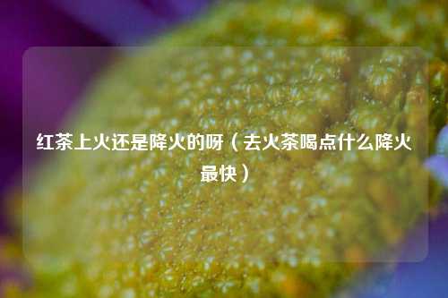 红茶上火还是降火的呀（去火茶喝点什么降火最快）