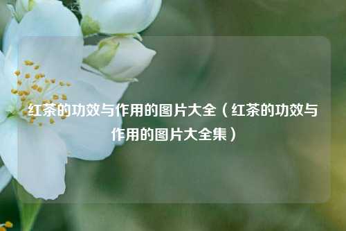 红茶的功效与作用的图片大全（红茶的功效与作用的图片大全集）