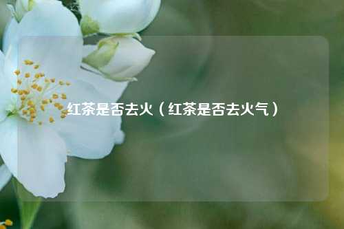 红茶是否去火（红茶是否去火气）