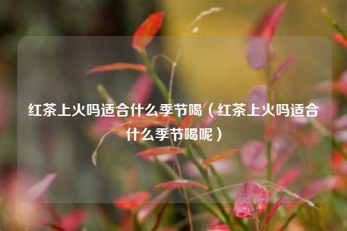 红茶上火吗适合什么季节喝（红茶上火吗适合什么季节喝呢）