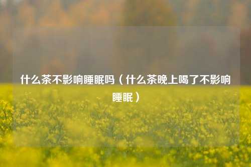 什么茶不影响睡眠吗（什么茶晚上喝了不影响睡眠）