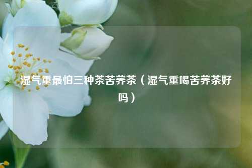 湿气重最怕三种茶苦荞茶（湿气重喝苦荞茶好吗）